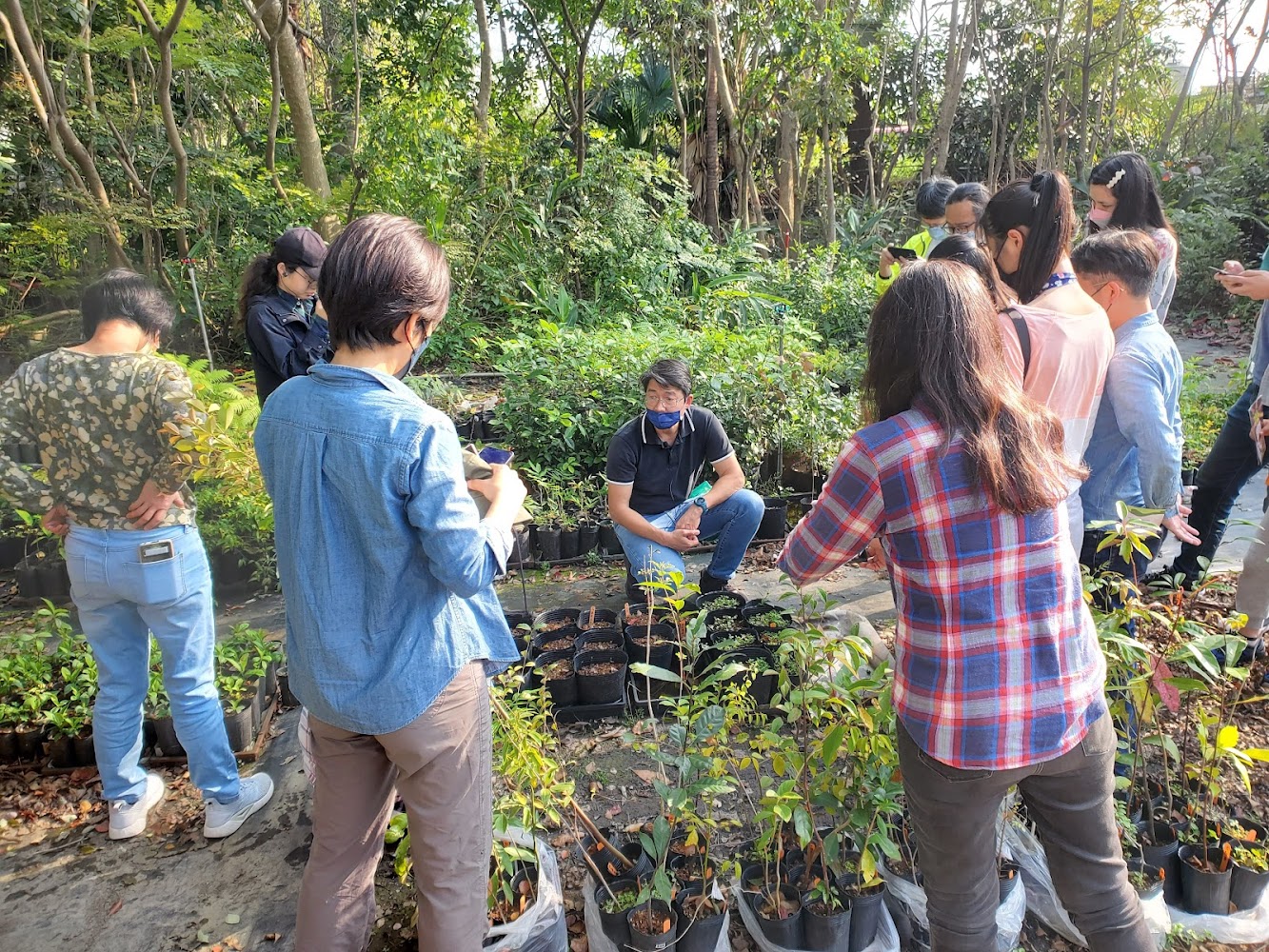 戶外植物園區教學與植物介紹