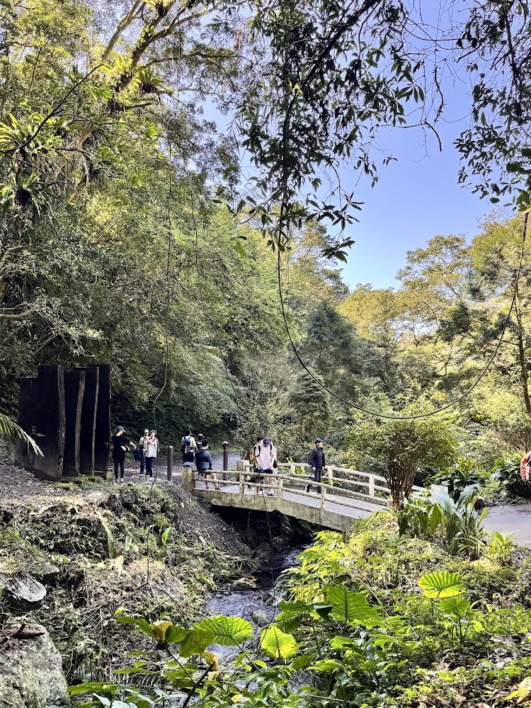 三角崙山森林步道與遊客散步景象