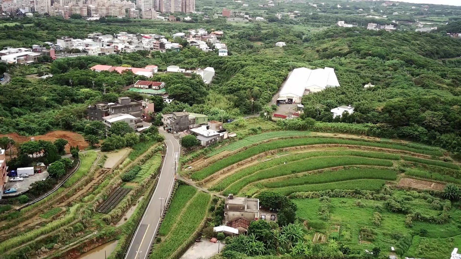 茂長梯田與道路蜿蜒景色