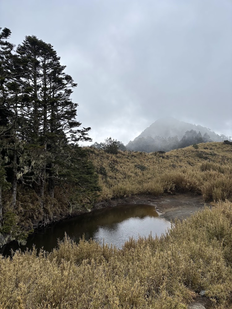 山間池塘與高山草地遠方有雲霧山峰