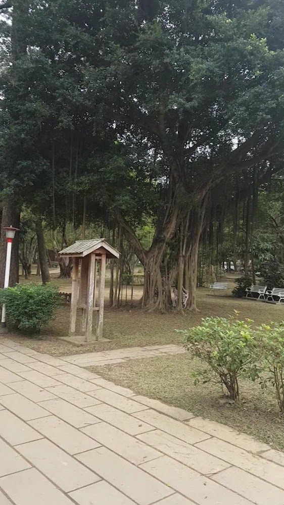 大樹長椅與告示牌的公園休憩角落