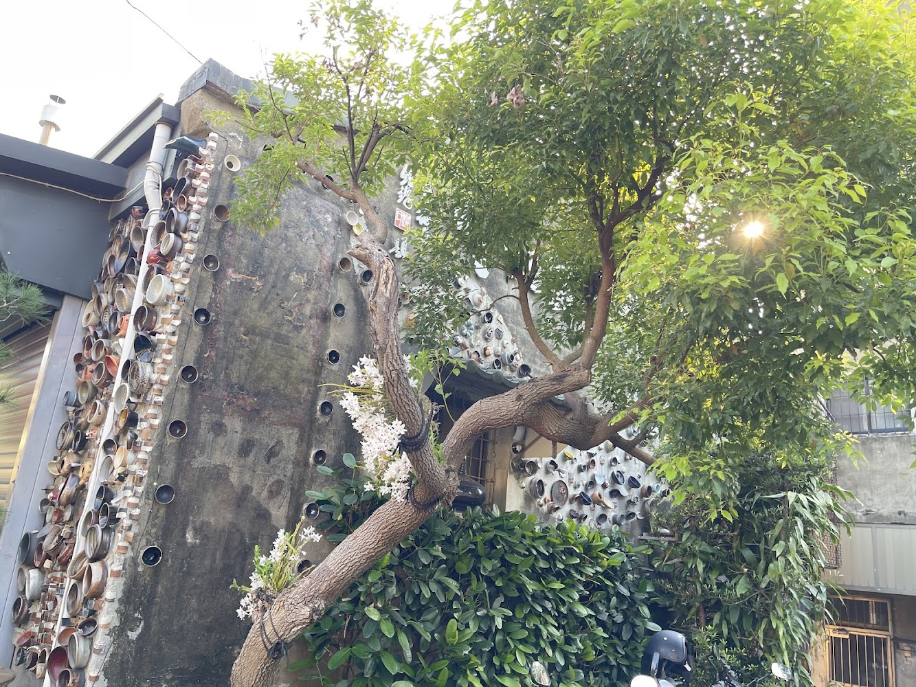 這張圖片主要展示一棟建築物外牆，上面鑲嵌大量陶瓷碗碟，旁邊有一棵大樹和綠色植物，整體給人一種結合藝術與自然的氛圍。