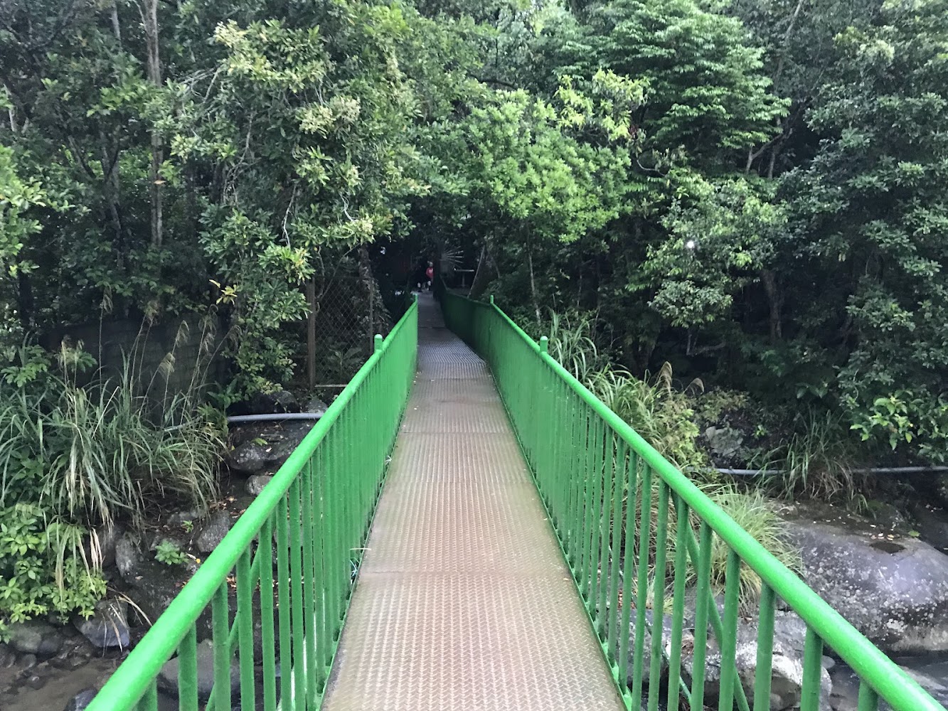 千蝶谷園區橋梁與溪流生態環境