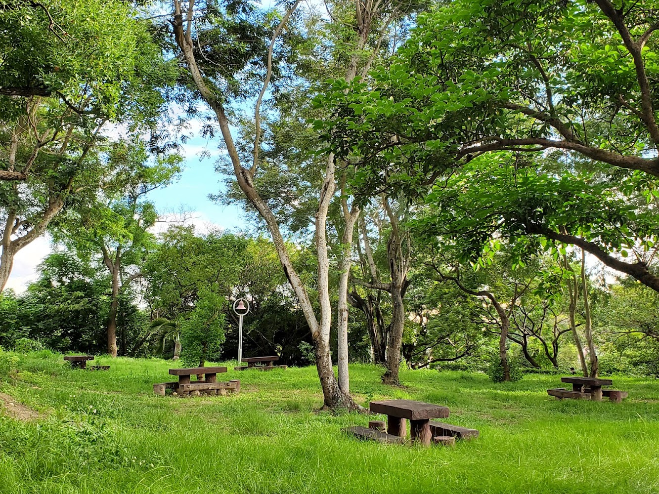 華陽公園林蔭與野餐桌椅
