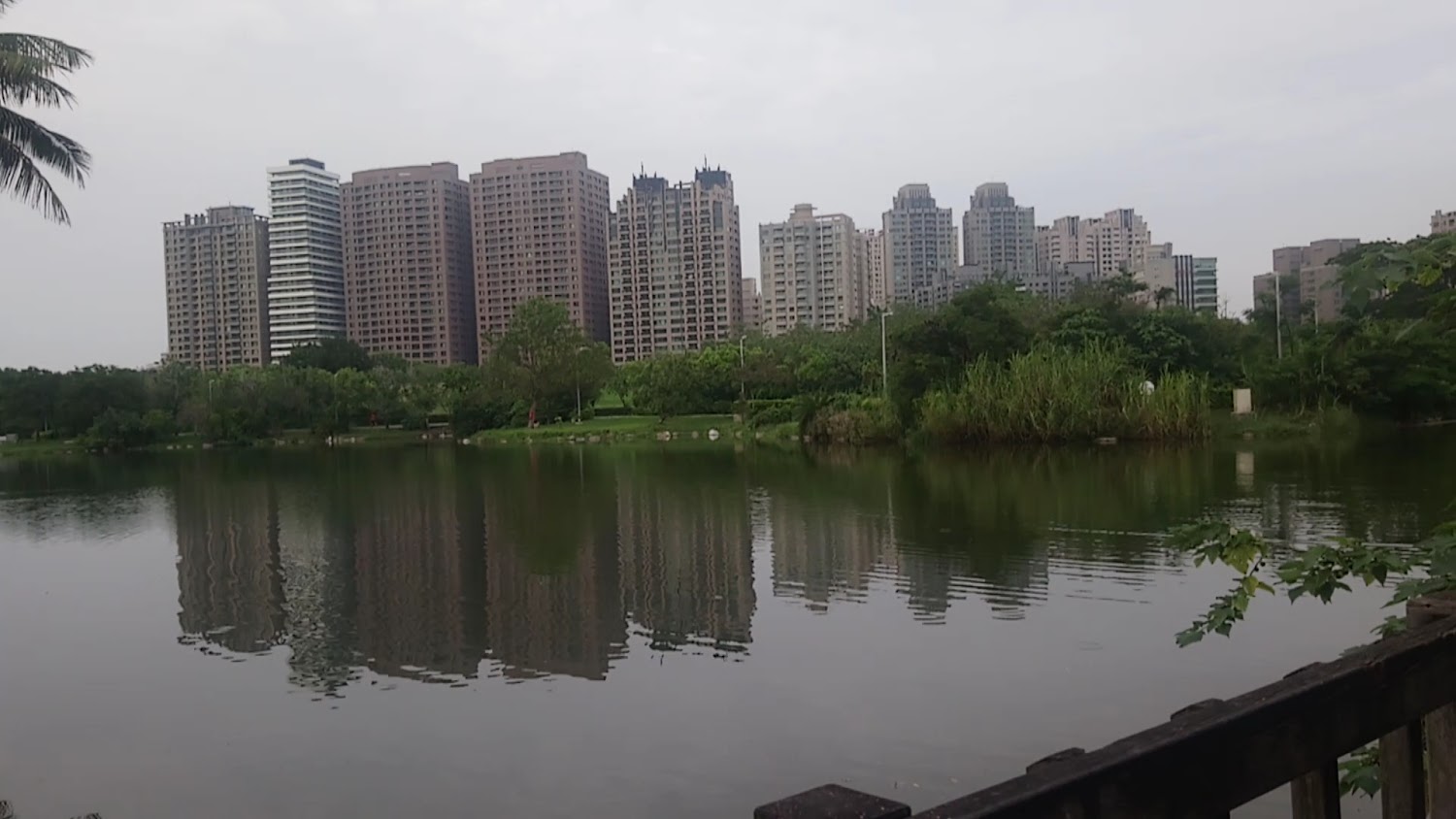 湖泊倒映遠方高樓與綠樹