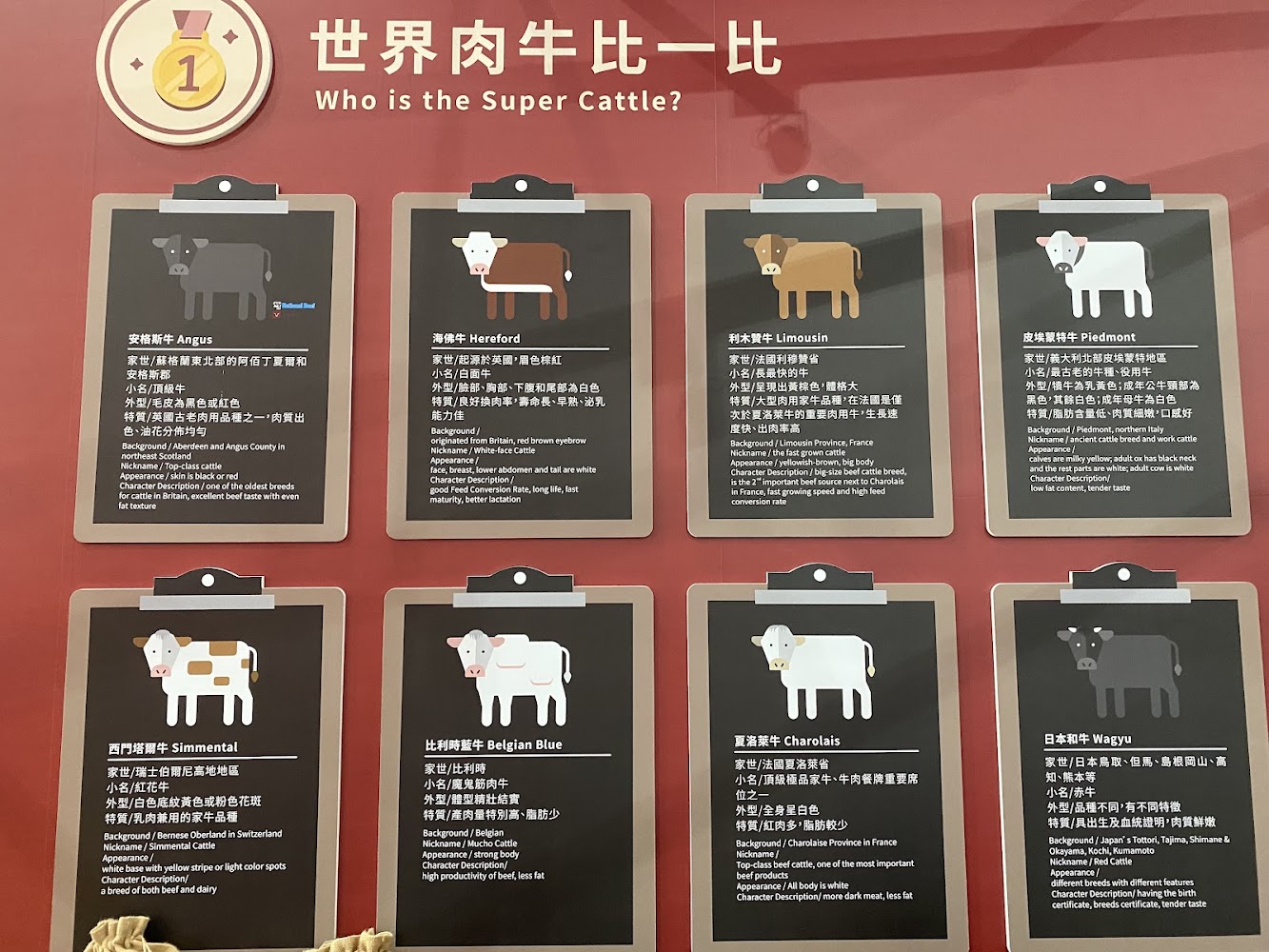 世界八大肉牛品種介紹看板