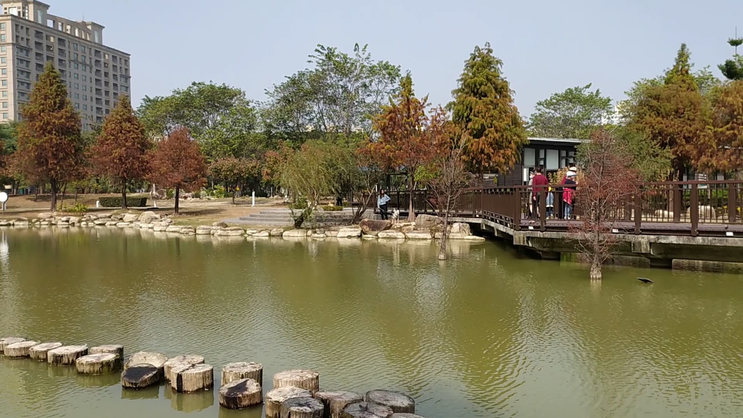 凹子底森林公園湖泊木橋與都市景觀