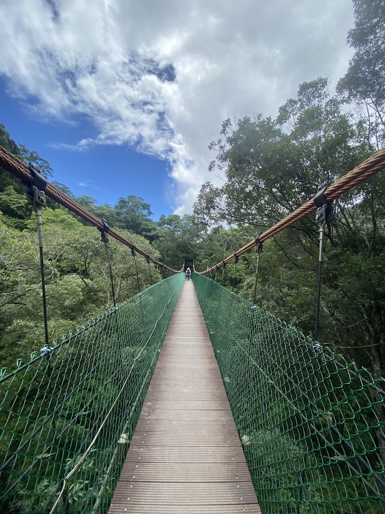 高空吊橋與藍天山林