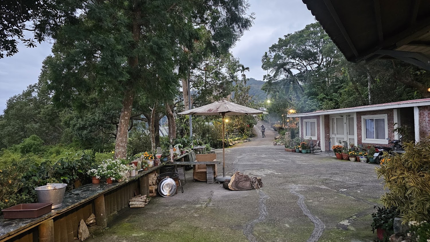 大量植栽盆栽與紅磚房屋的鄉村庭院