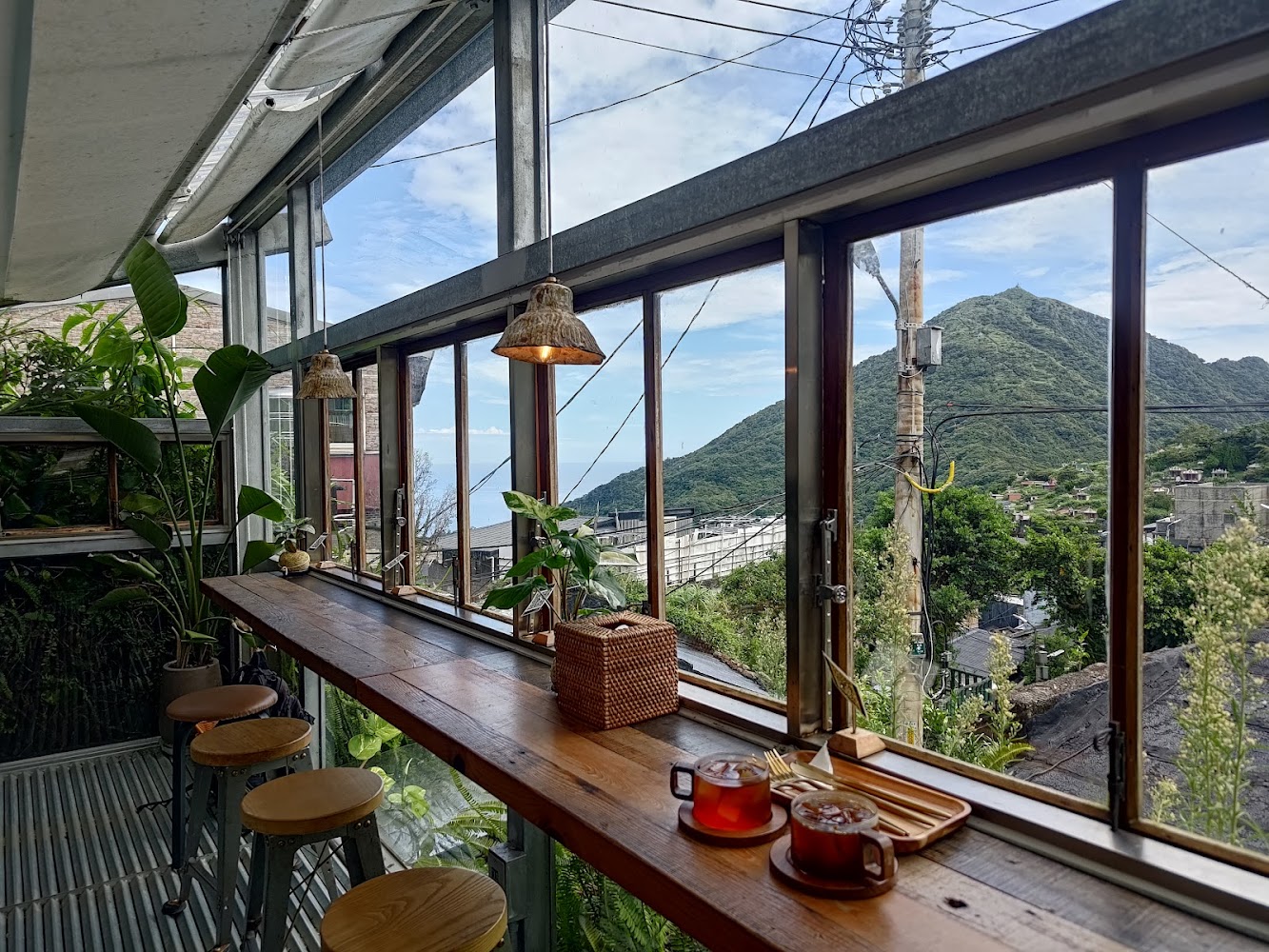 微光森林室內綠意與山景窗景