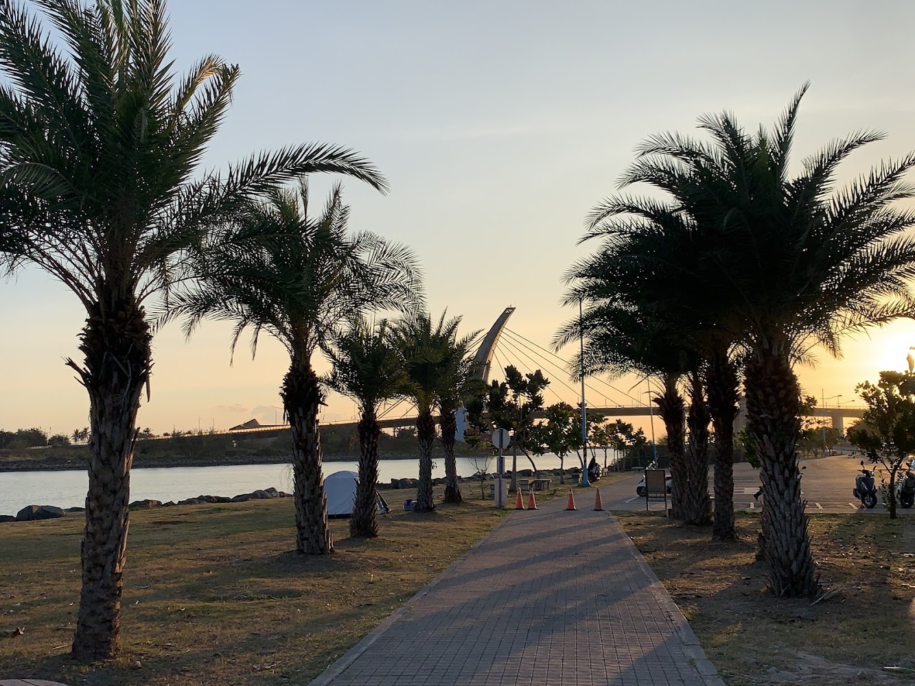 棕櫚樹河流橋樑與夕陽