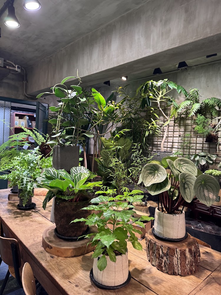 樹園藝植物專賣店室內木桌與多盆植物陳列