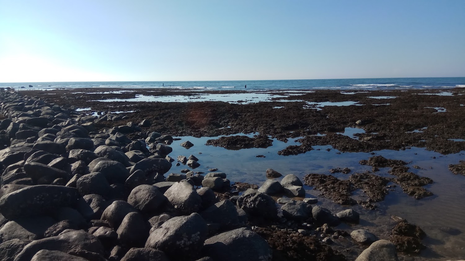 三芝雙連石滬海岸礁石景觀
