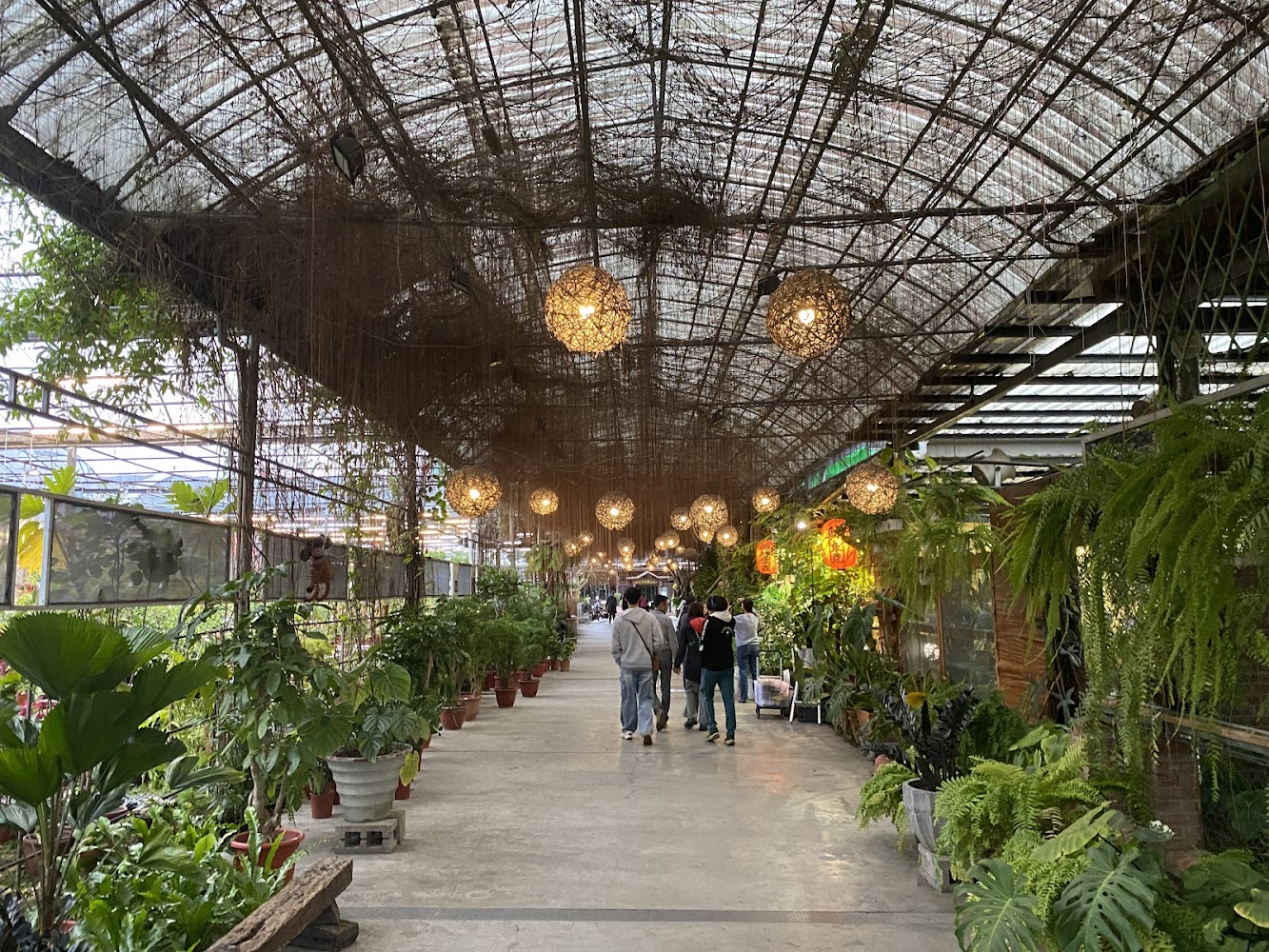 台北花卉村園區景象