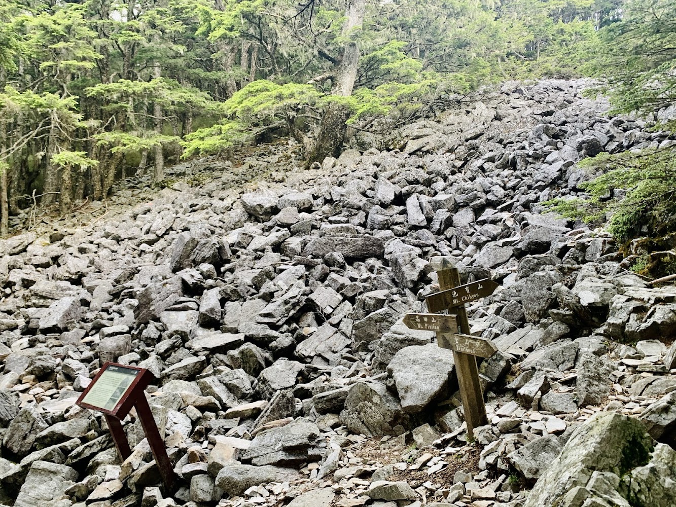 山坡碎石堆旁有多個木質指標牌與說明牌