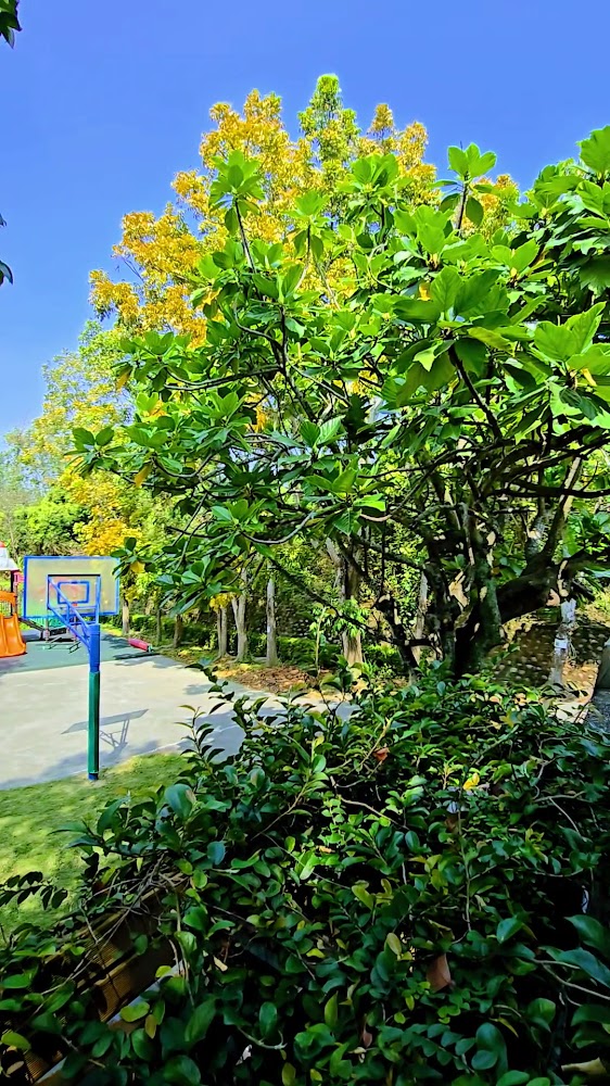 燕巢周邊綠地與兒童設施