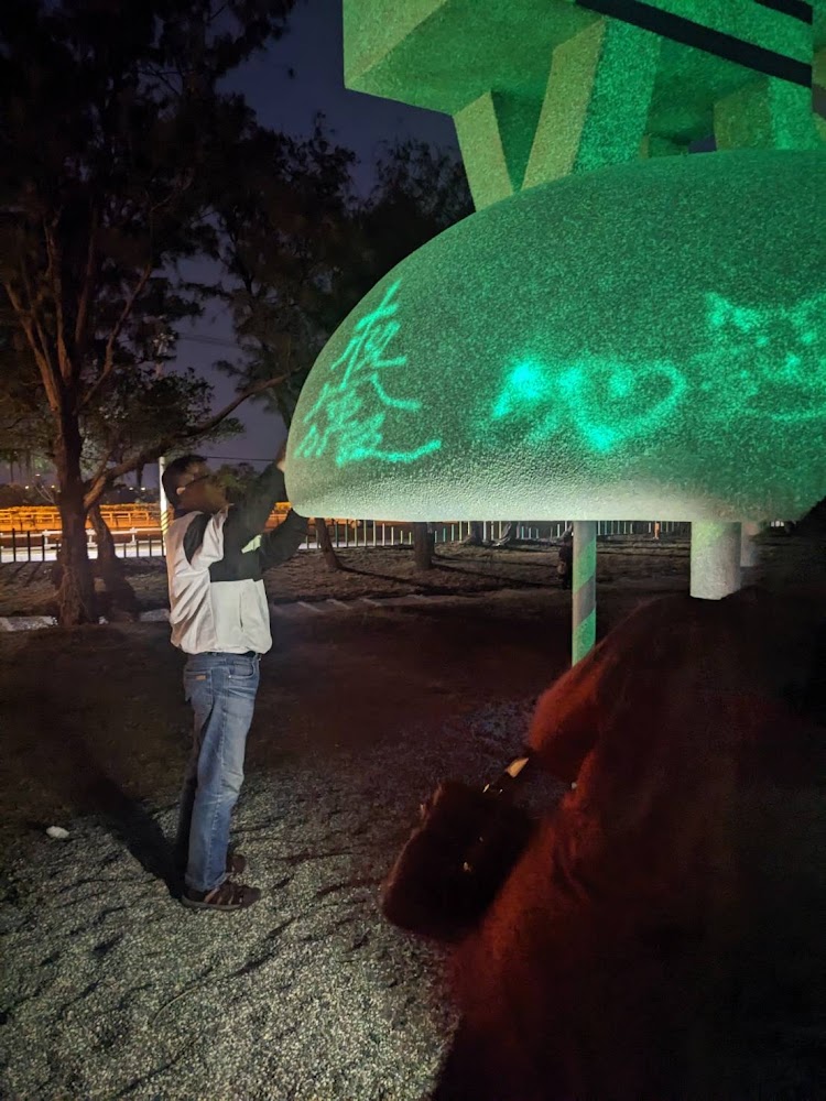 夜晚用燈光在戶外裝置藝術上創作的場景