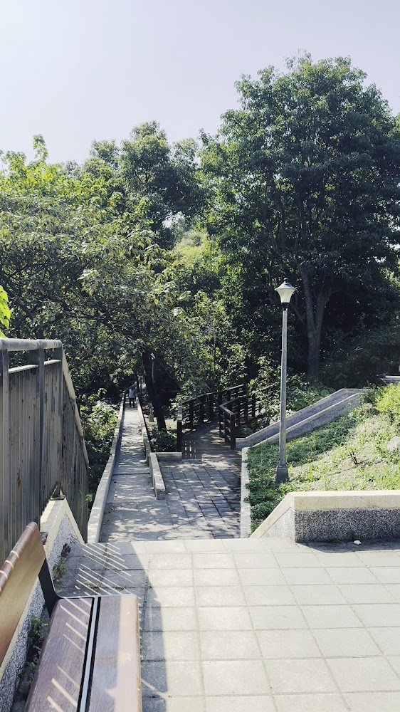 樹林中的步道，旁邊有木質長椅與路燈，環境清幽適合散步