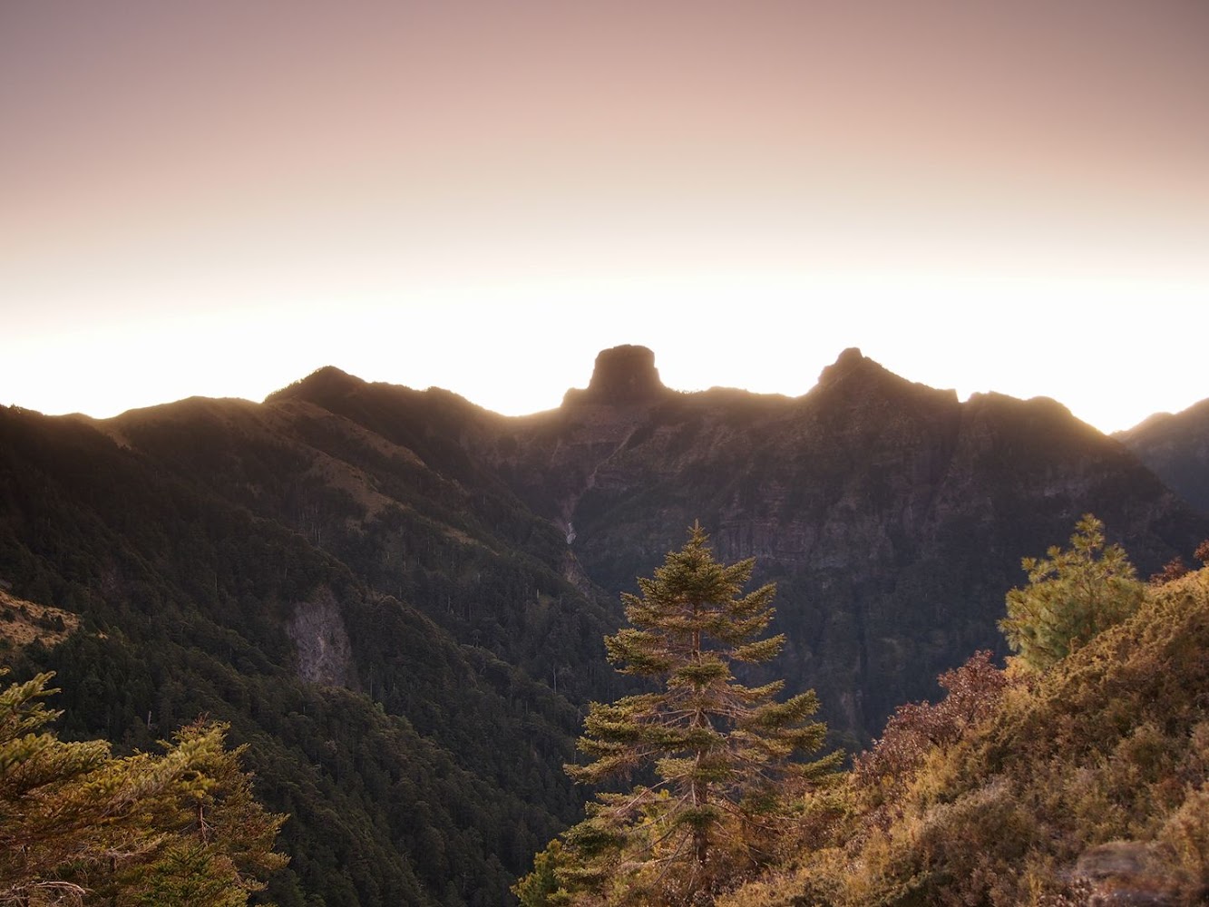 層疊山脈與針葉林的清晨微光景色
