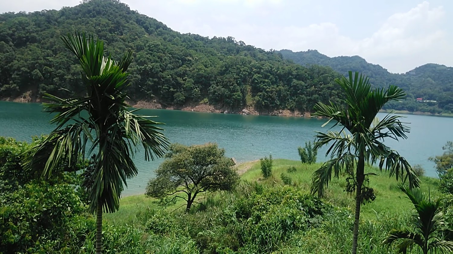 翠綠山丘與藍色湖泊的自然景觀