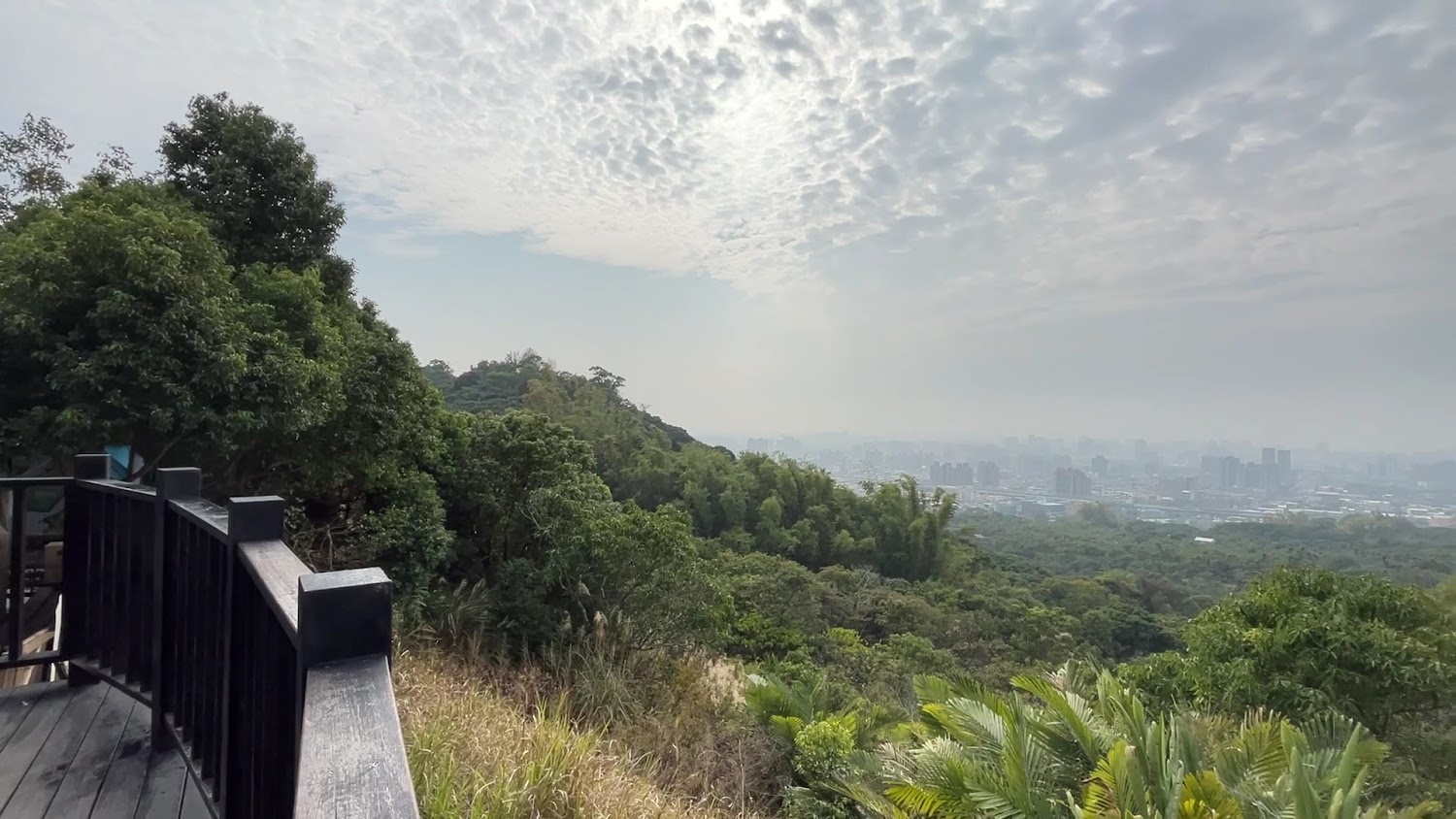 大坑九號登山步道觀景平台遠眺城市與山景