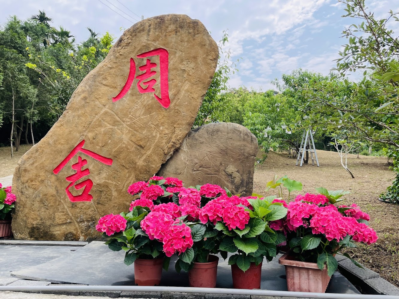 周舍石刻與繡球花盆栽