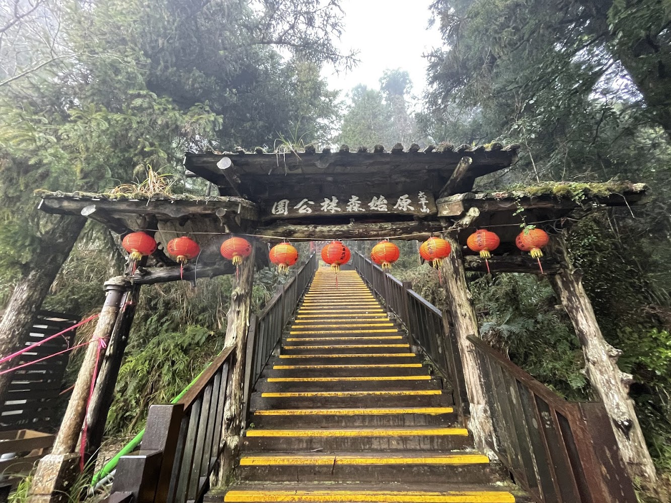 原始林棧道入口木門與森林景觀