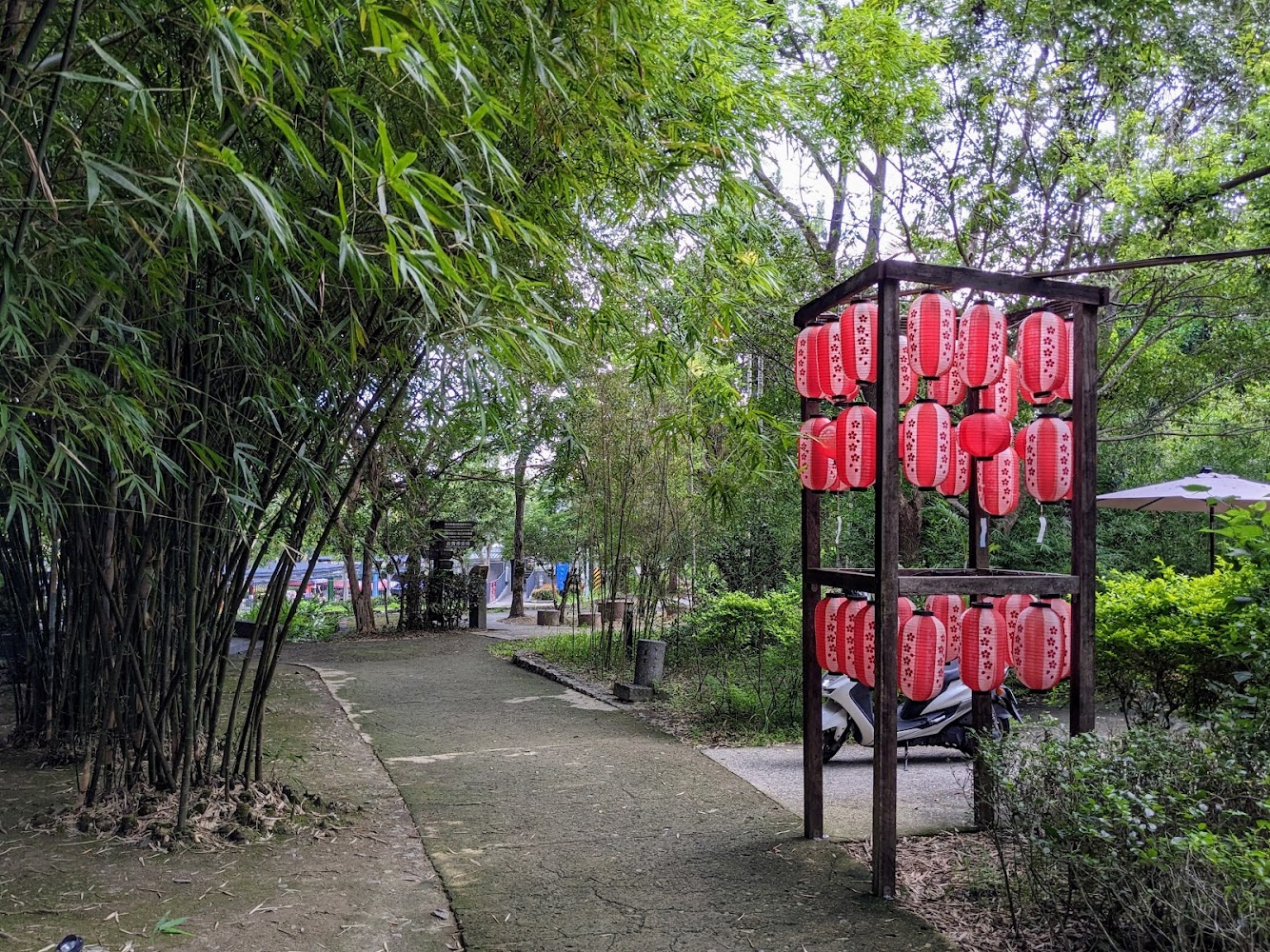 竹林步道與紅色日式燈籠