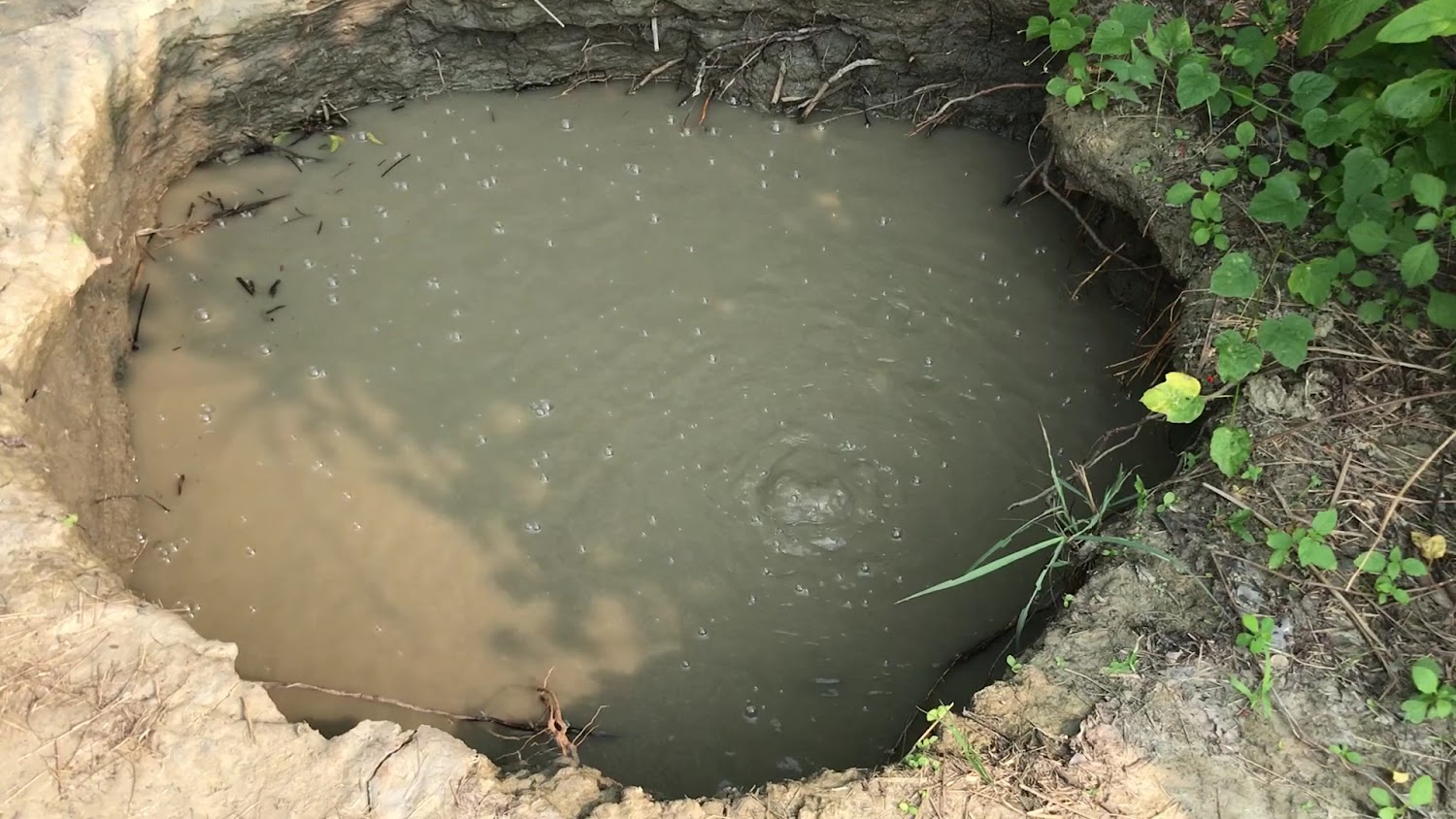 泥土邊緣積水坑與冒泡水面