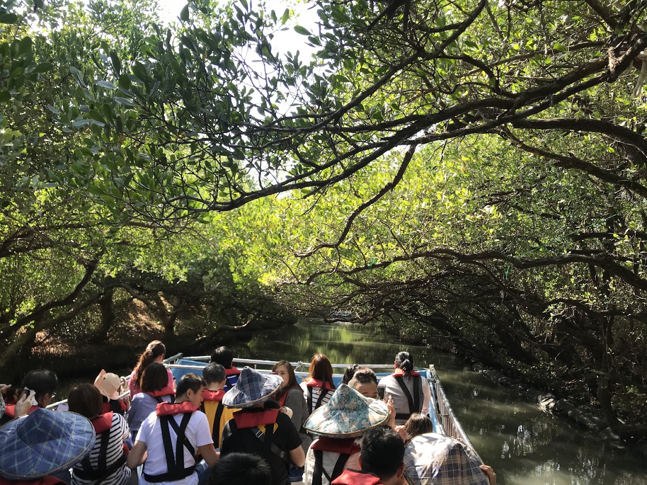 穿著救生衣的遊客搭乘小船在綠色隧道前進