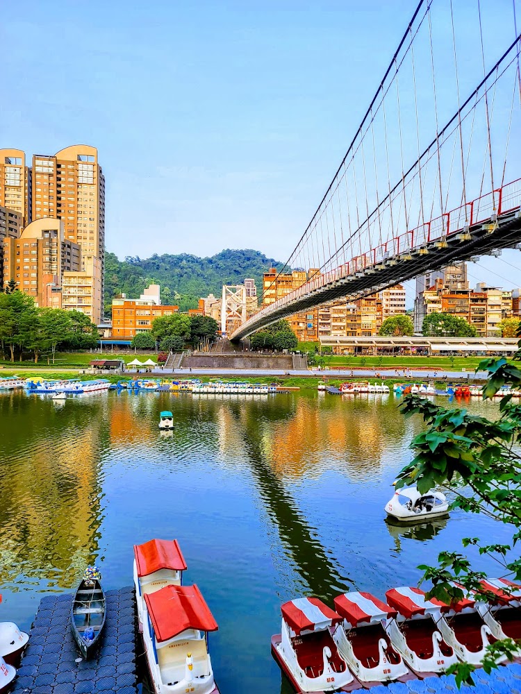 碧潭河面與吊橋、天鵝船共景