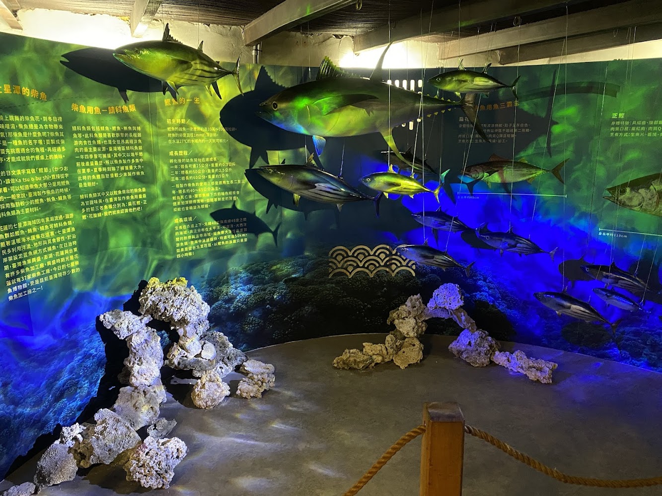 七星柴魚博物館魚類展示區