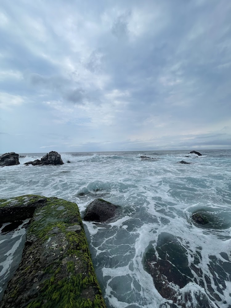 東北角海邊礁岩與海水,前景可見綠色海藻