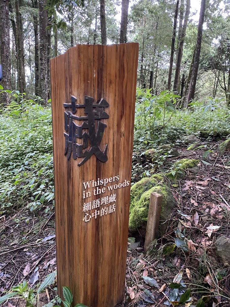 水山療癒步道森林解說牌