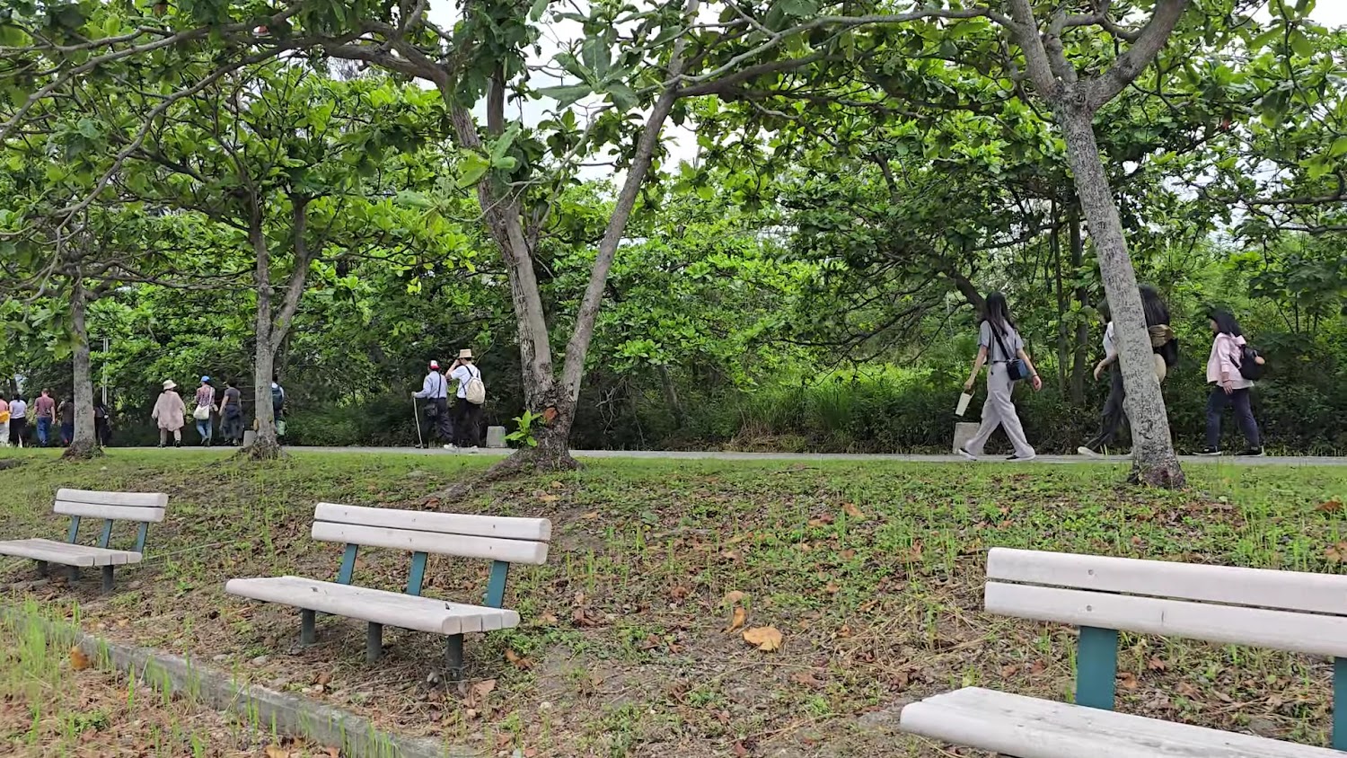 公園長椅與綠地散步空間