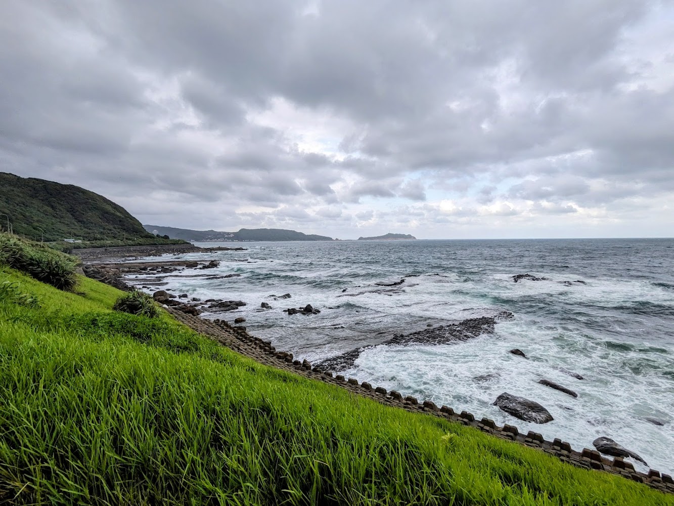 蔚藍海岸與綠色草地的獅子公園海景