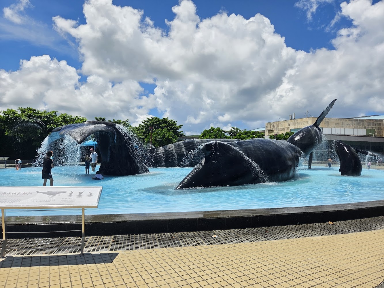 墾丁國家公園鯨魚造型戲水池