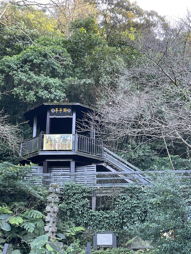 樹林中的狒狒亭