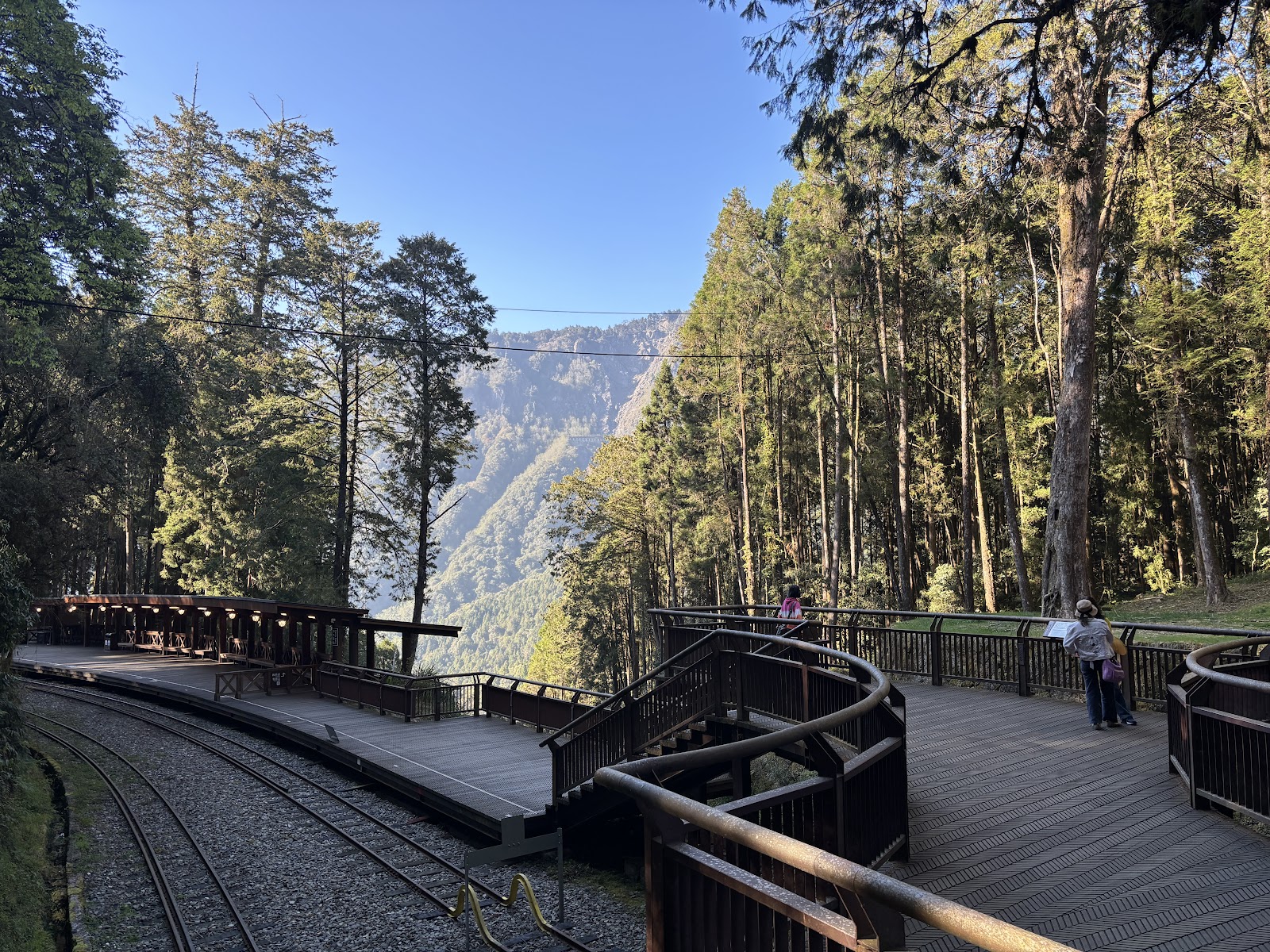阿里山神木車站月台棧道陽光山景