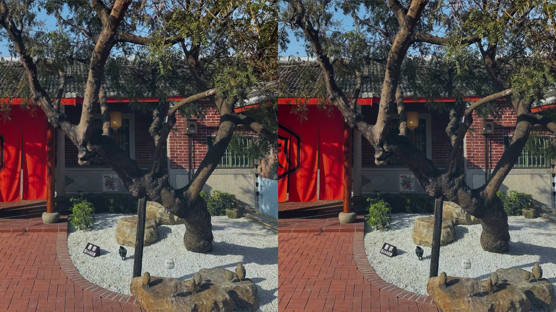 虎珍堂森之院庭園與大樹景觀