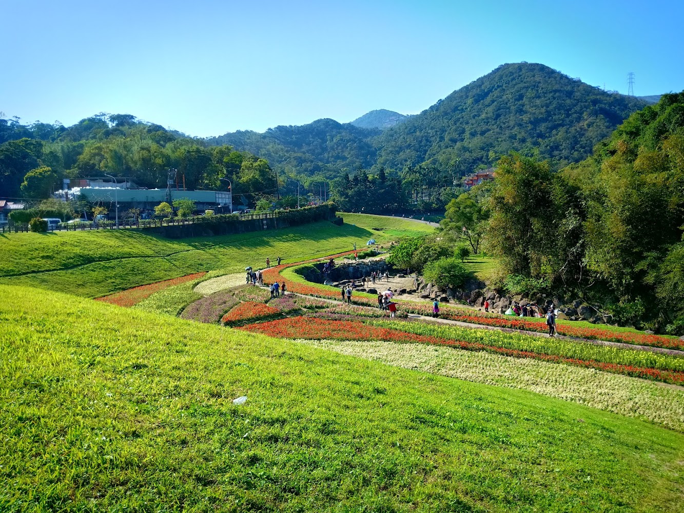 大溝溪生態治水園區花田與山景