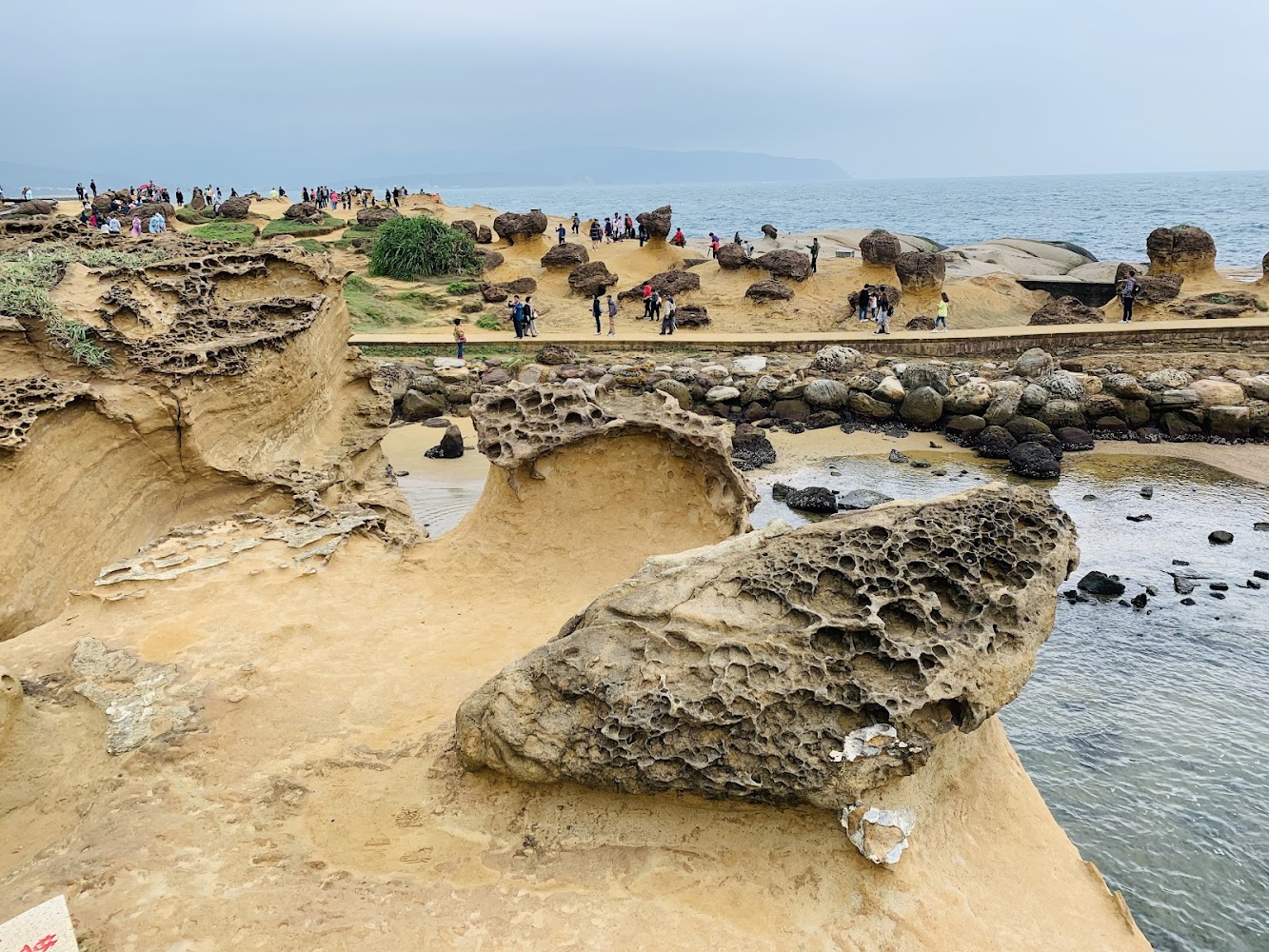 野柳地質公園海蝕岩區與遊客參觀畫面