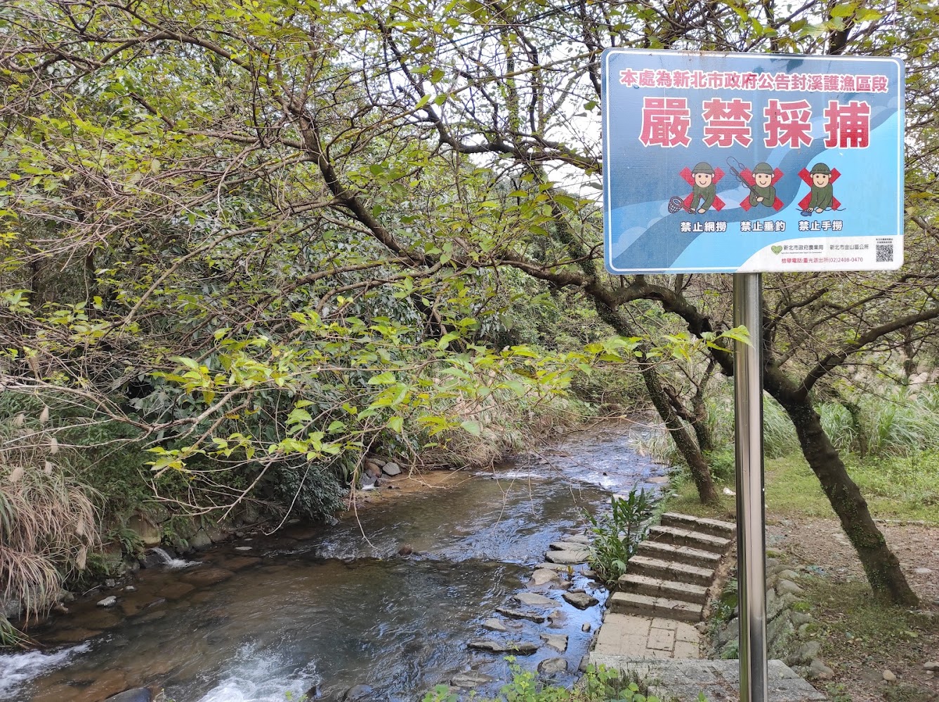 磺溪頭清水園區禁止採捕公告牌與溪流景色