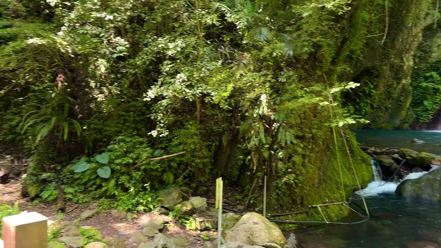 老鷹溪沿線青苔岩石與小瀑布
