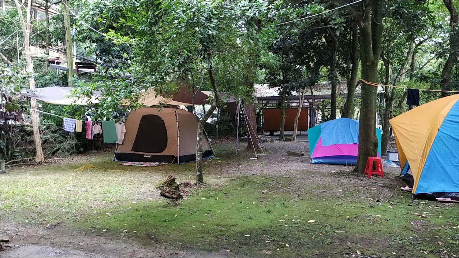 樹林間露營區帳篷