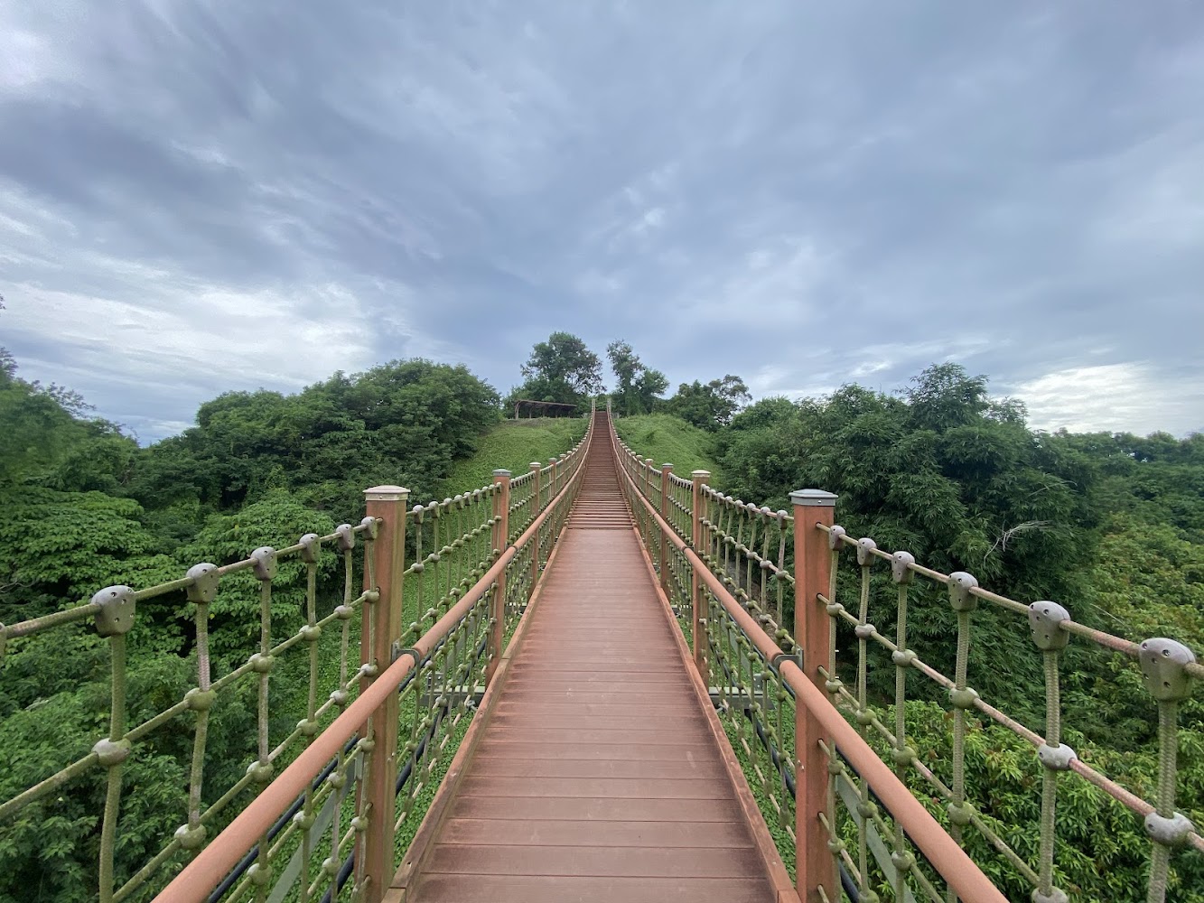 漯底山自然公園木質吊橋