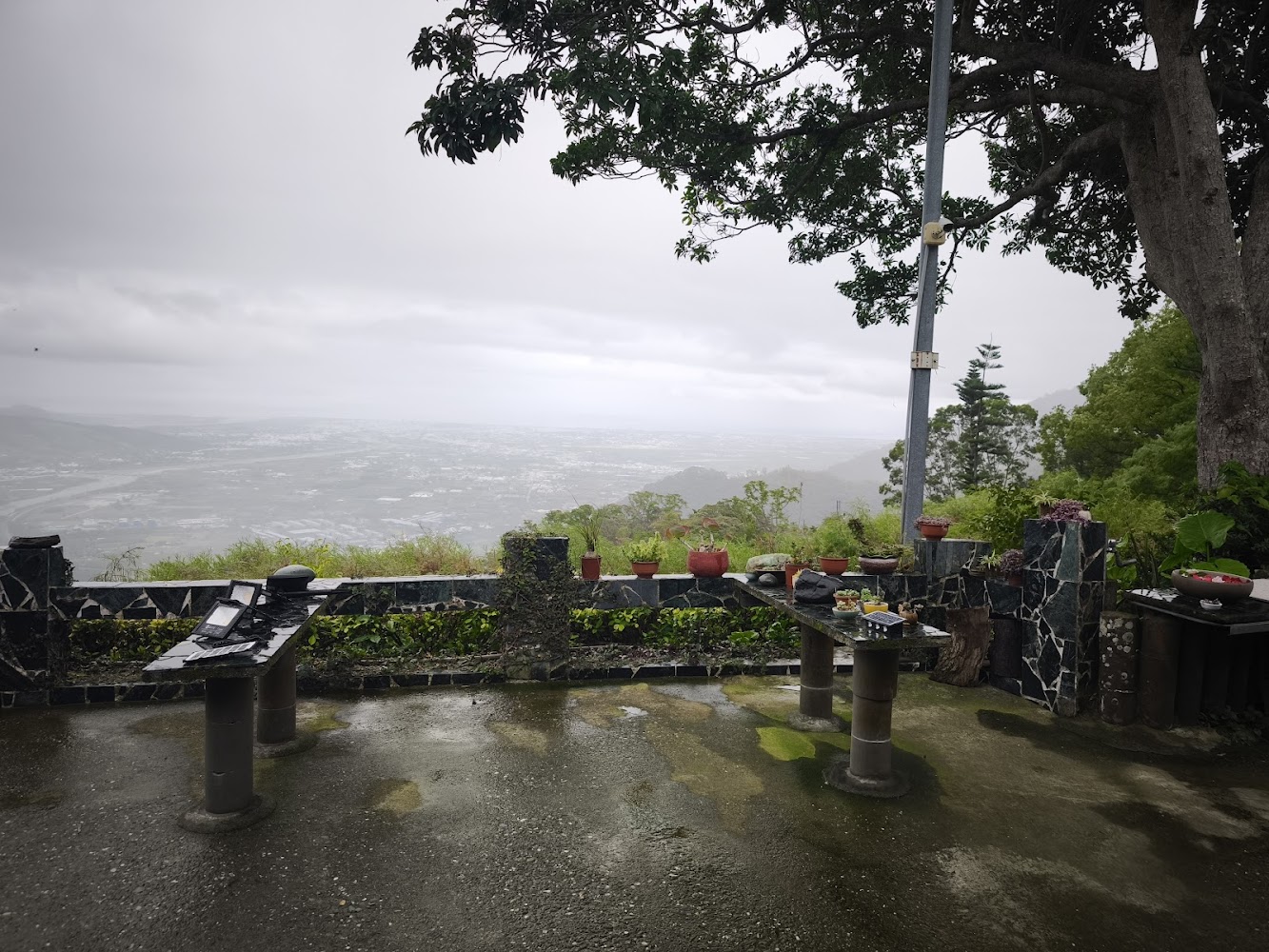 觀景台盆栽裝飾與遠方城市山景