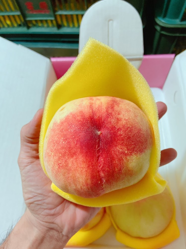 手拿著套上保護網的水蜜桃