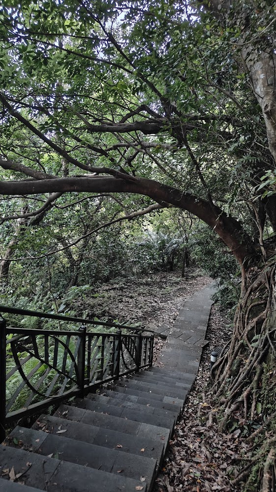 森林石階步道