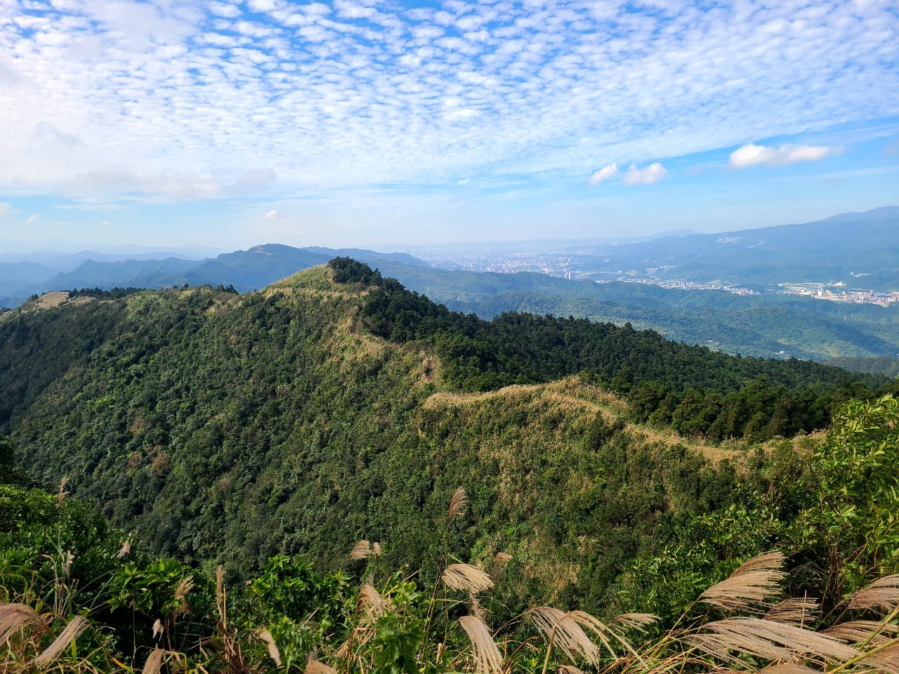 五分山山脈與遠方城市景觀